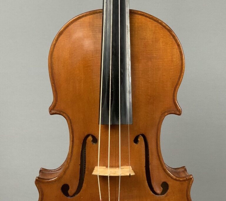 viola